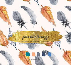 43张高清背景透明的北欧风水彩羽毛PNG图片：Watercolor & Gold Feather Clipart